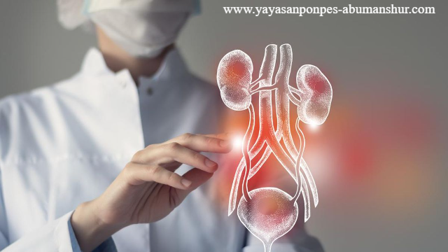 Tanda-tanda Penyakit Ginjal yang Sudah Parah dan Kerap Diabaikan